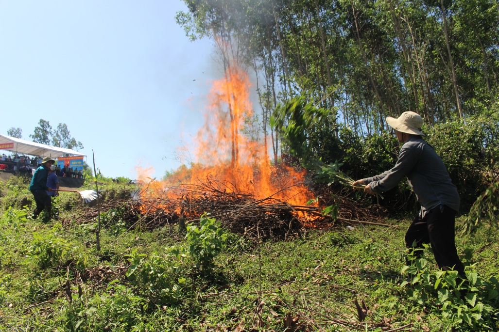 Tư Nghĩa hội nghị trực báo triển khai công tác bảo vệ rừng và phòng cháy chữa cháy rừng tháng 06/2022 và diễn tập chữa cháy rừng tại xã Nghĩa Lâm