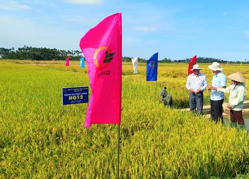 Hội thảo đánh giá các giống lúa chất lượng vụ Hè Thu 2023 tại huyện Tư Nghĩa